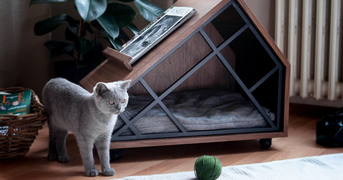 DIY Cat-Friendly Furniture