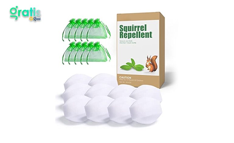 Squirrel Repellent: 10 Natural Garden Defenses